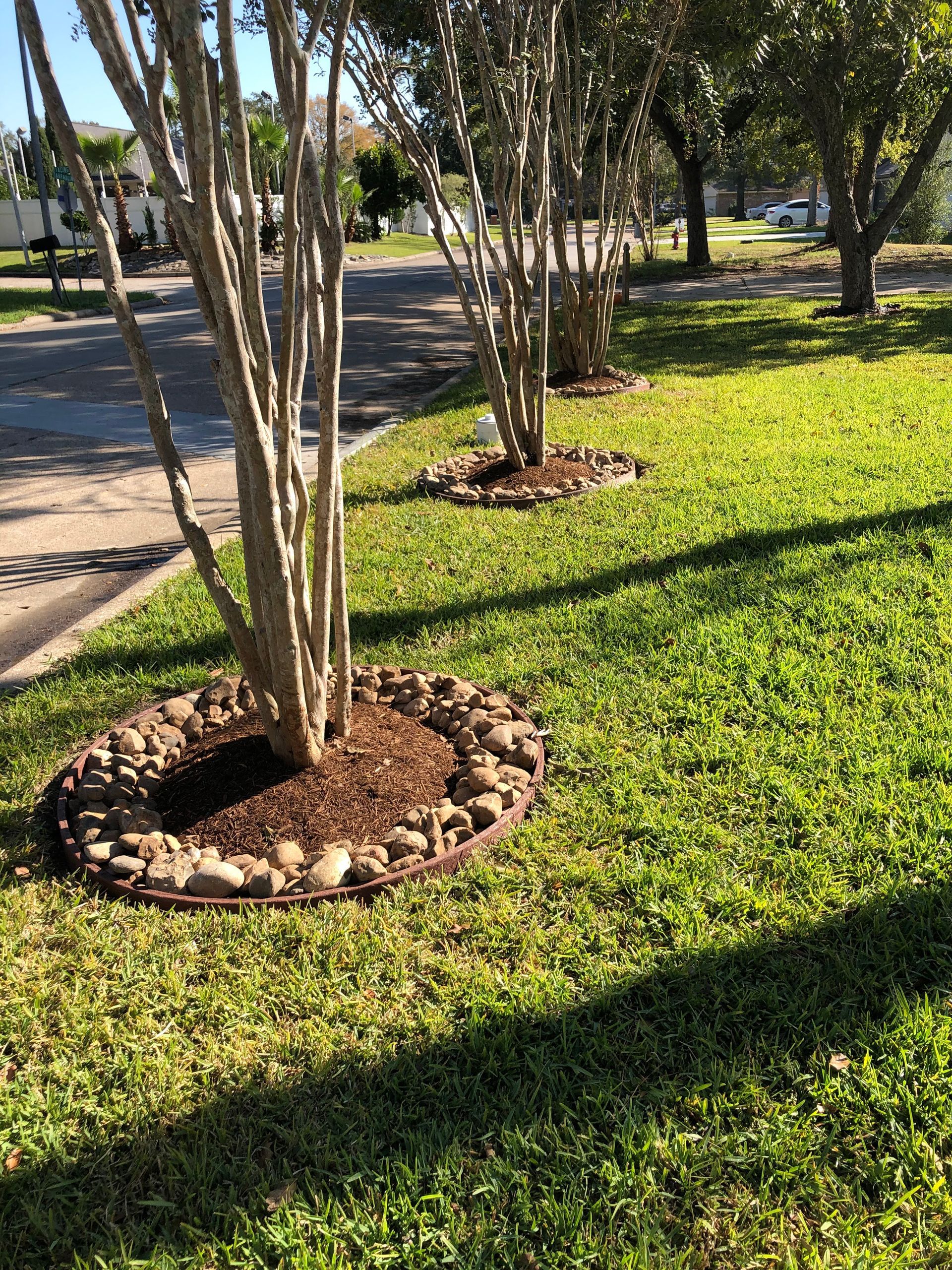 Three trees with rock borders and mulch in green grass near a road.