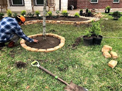 Man gardening in a yard, building a brick border around a tree.
