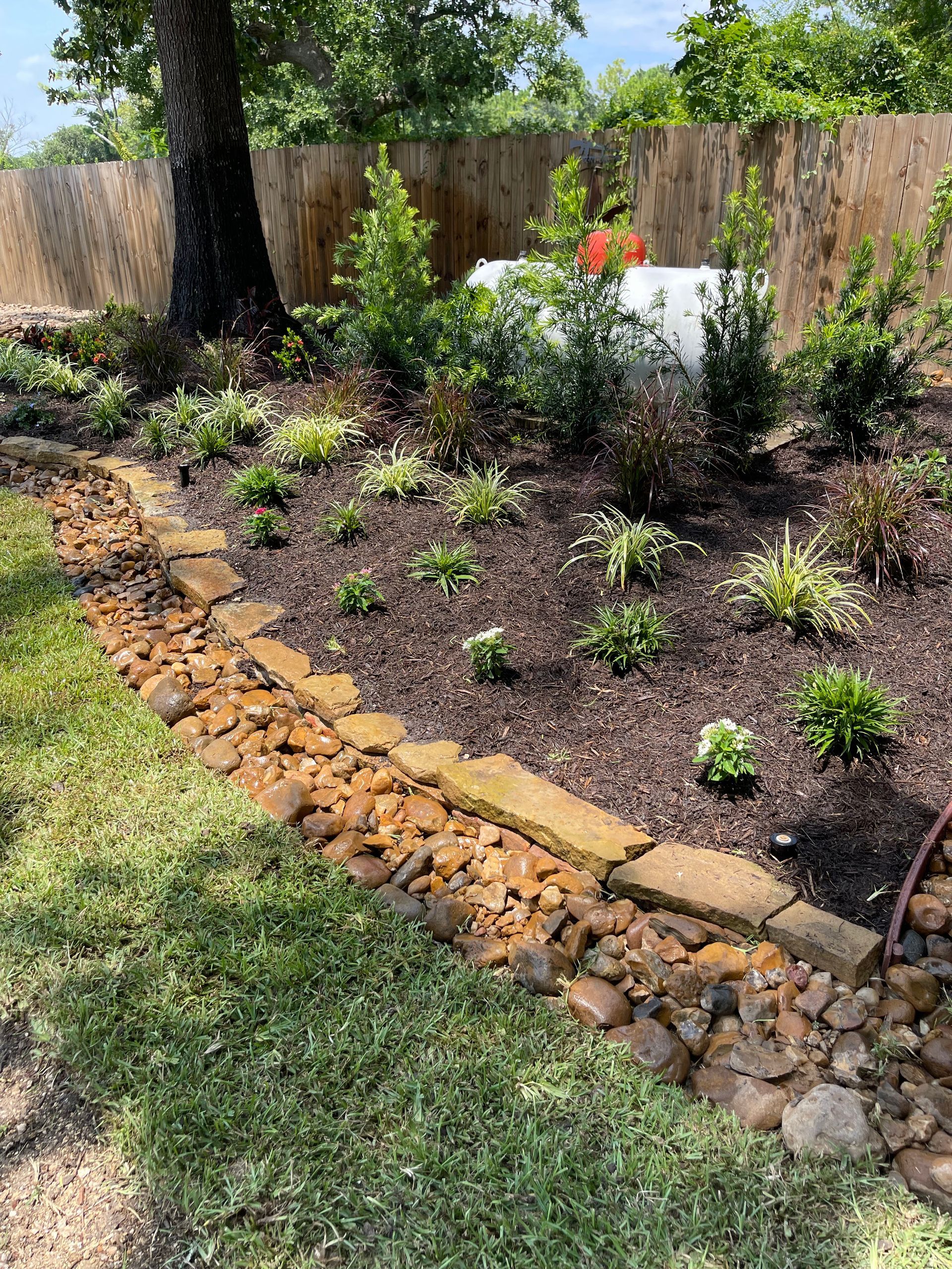 A landscaped garden bed with rocks and plants, next to grass and a wooden fence.