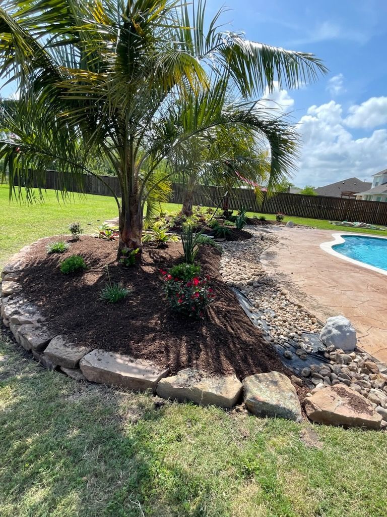 Palm tree and flower bed bordered by stones next to a pool.