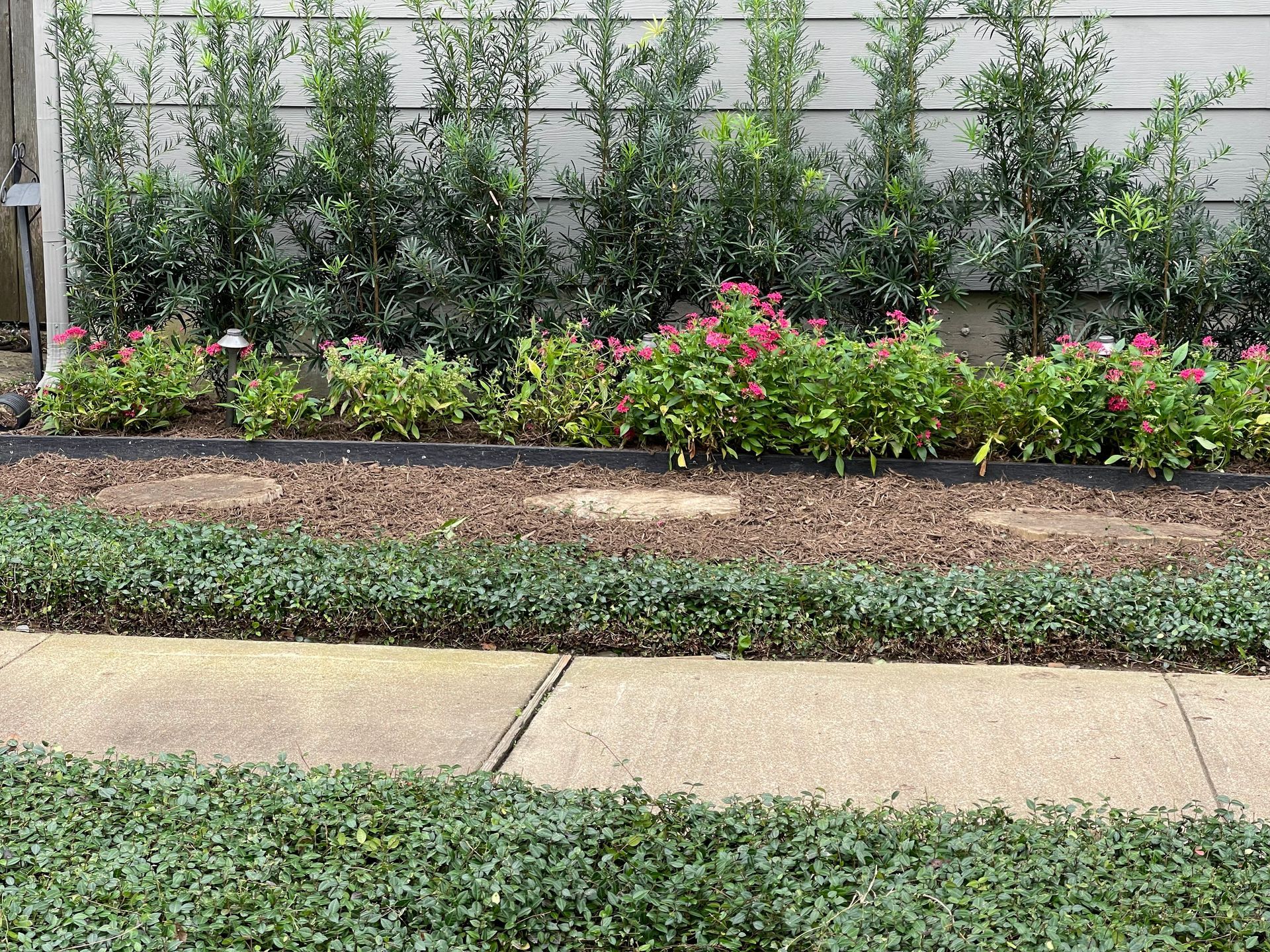 Green shrubbery and pink flowers in front of a building, with a concrete walkway in the foreground.