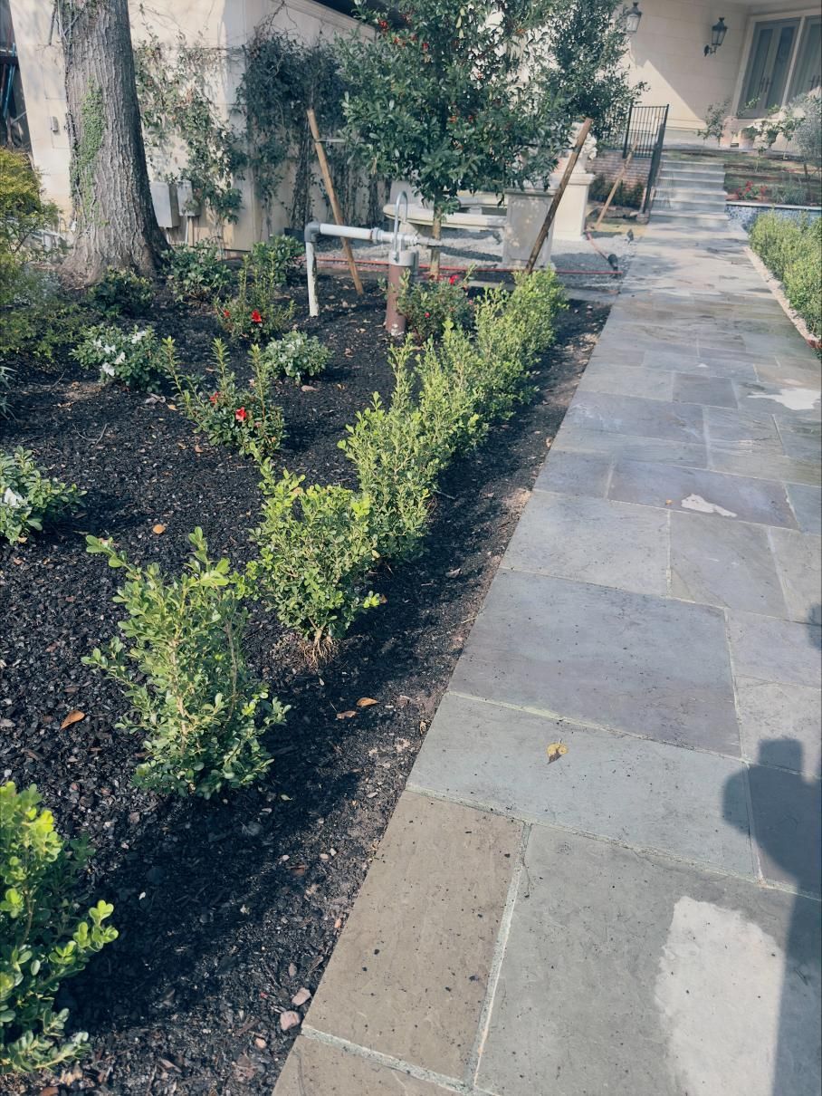 Green yard with creeping ground cover, a wooden fence, and a shovel.