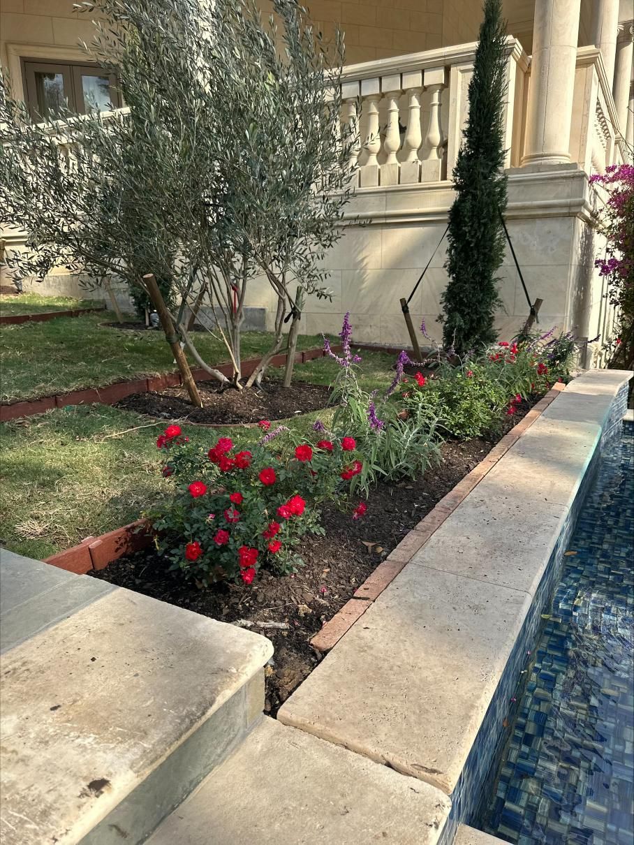 Well-manicured backyard with lush green grass, landscaping, and a trampoline against a bamboo fence.