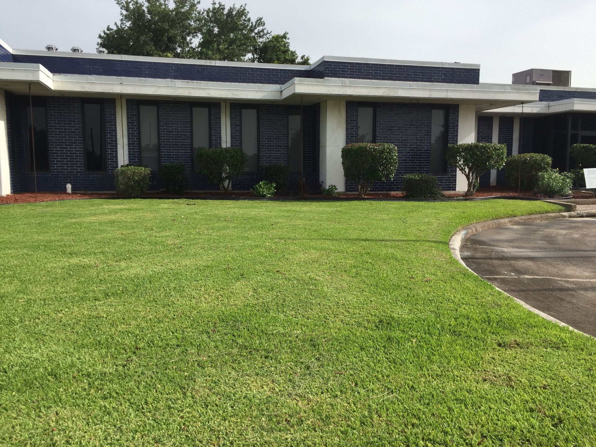 A low, flat building with dark windows, blue trim, and a green lawn.