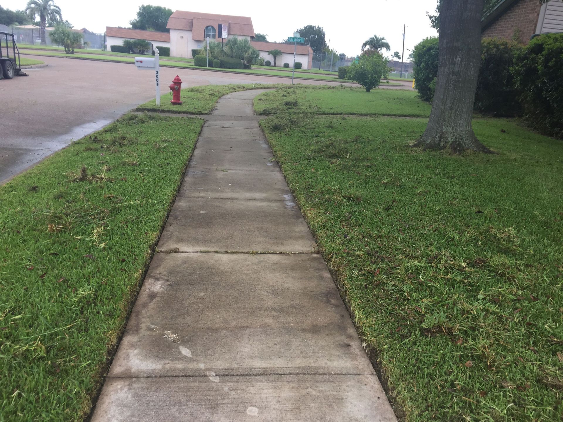 Sidewalk bordered by green grass, red fire hydrant, houses in the background.