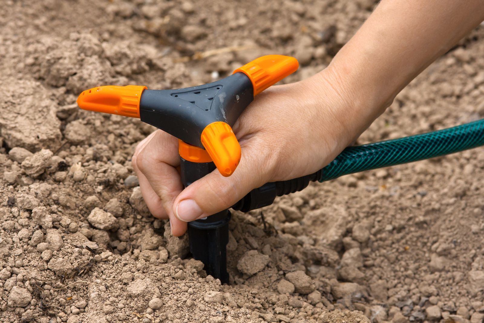Hand planting a black and orange sprinkler head in soil.