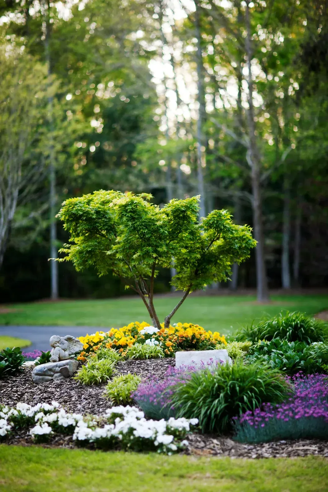 A small, green tree in a colorful garden bed with white and purple flowers, set in a natural landscape.