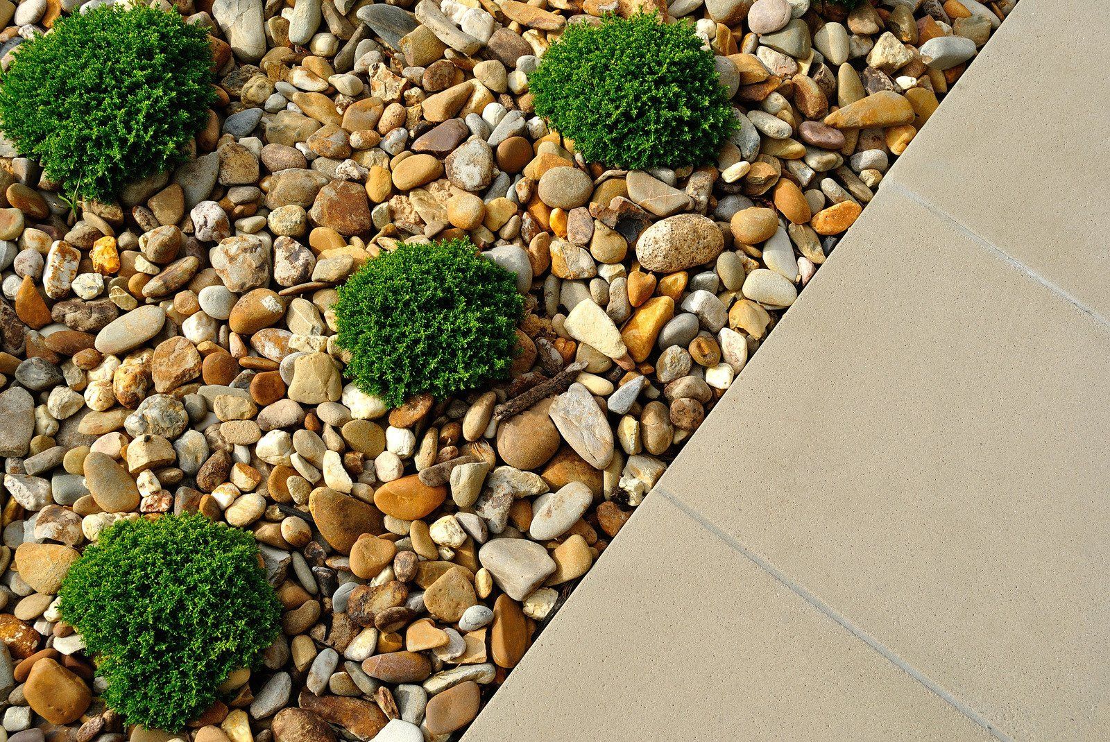 Green shrubbery interspersed with pebbles next to a beige concrete sidewalk.