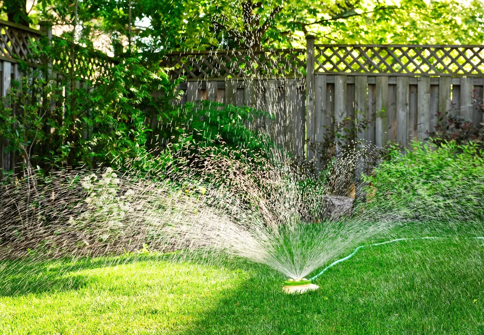 Sprinkler spraying water on green grass in a sunny backyard with a wooden fence and lush greenery.