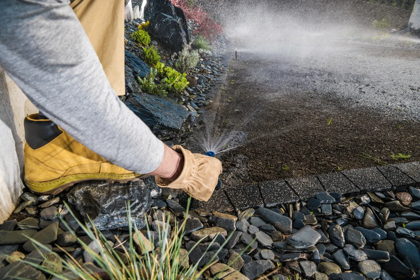 Person adjusts sprinkler head near a rocky garden bed with water spraying; wearing work gloves.