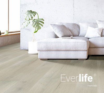 Light-colored wood flooring in a modern living room with a white couch and a monstera plant.