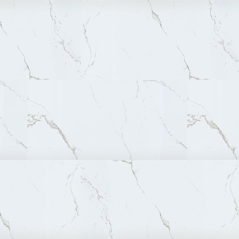 White marble with gray veining.