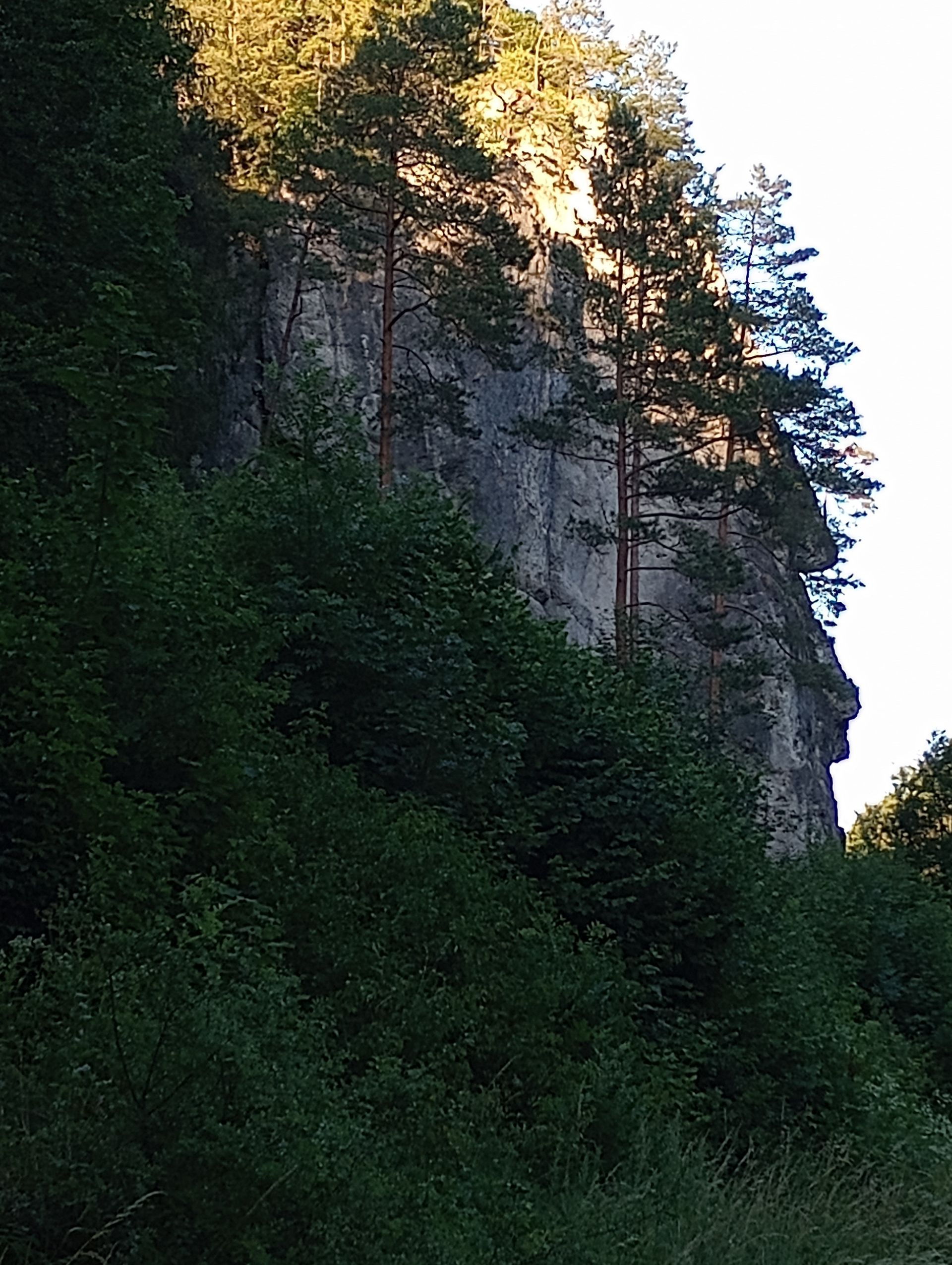 Der Richard-Wagner-Fels in der Fränkischen Schweiz
