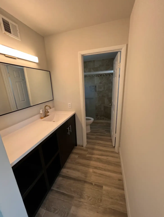 Bathroom with a vanity, mirror, and a view into a shower and toilet.