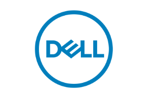 dell technologies partner