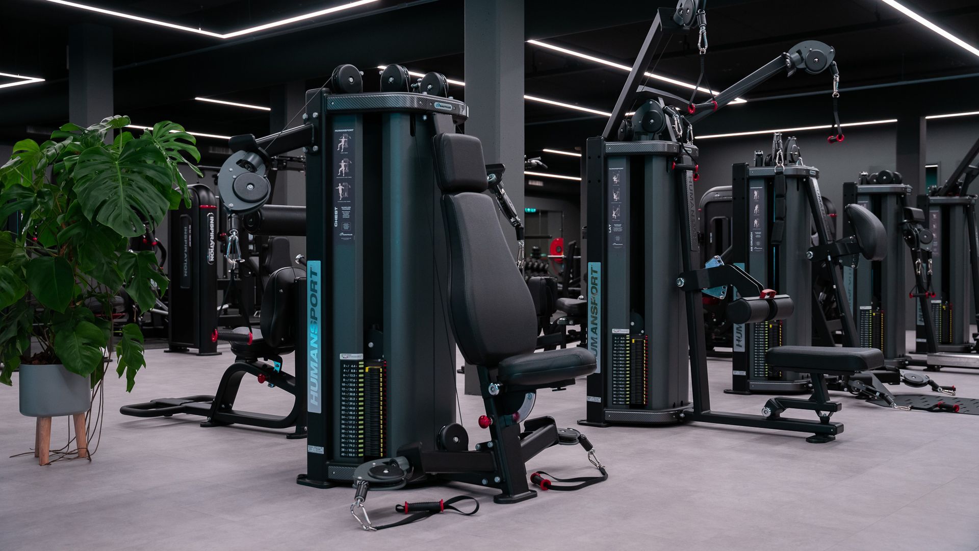 Een vrouw tilt een halter boven haar hoofd in een sportschool.