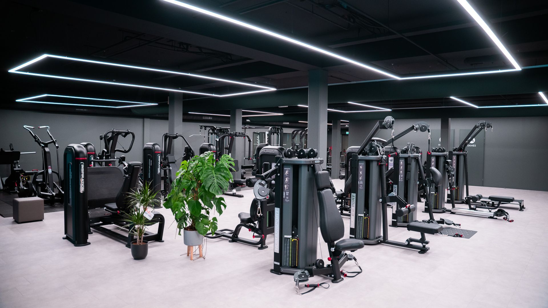 Interieur van een sportschool met fitnessapparaten, modern design, grijze muren en heldere plafondverlichting.