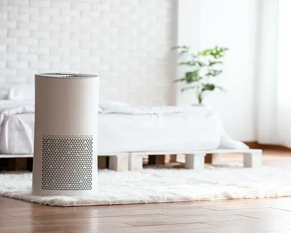 White air purifier on a rug in a bright, minimalist living room near a bed and potted plant