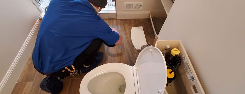 toilet repair replacement