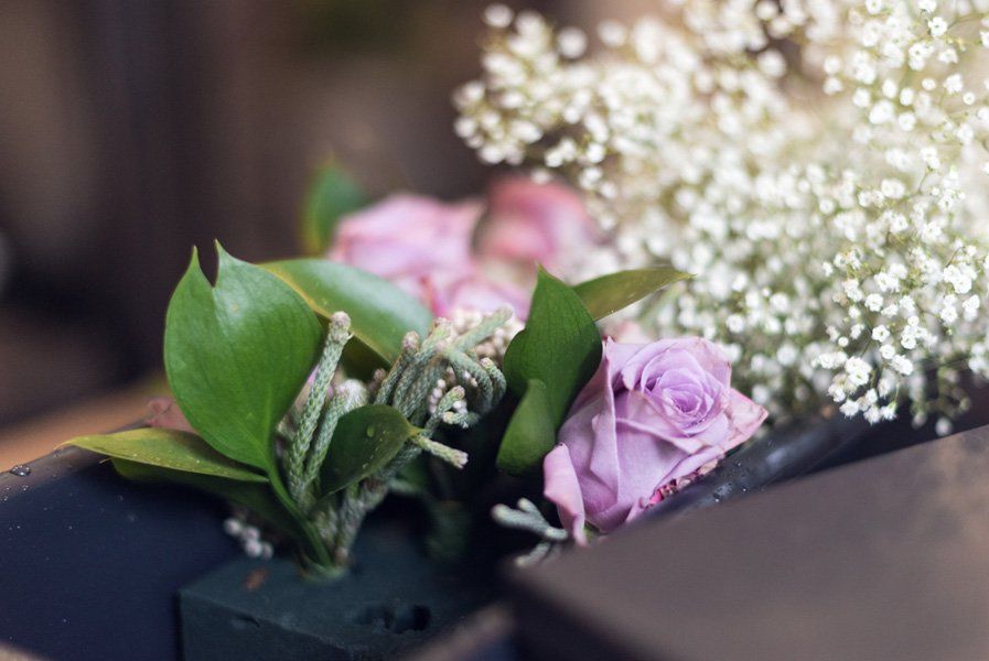 Piante e fiori ornamentali per camere ardenti