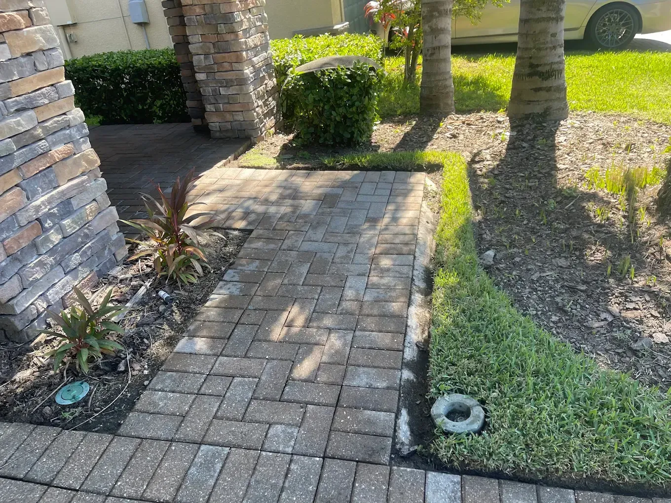 Brick walkway beside a house, bordered by shrubs and palm trees in a sunny yard