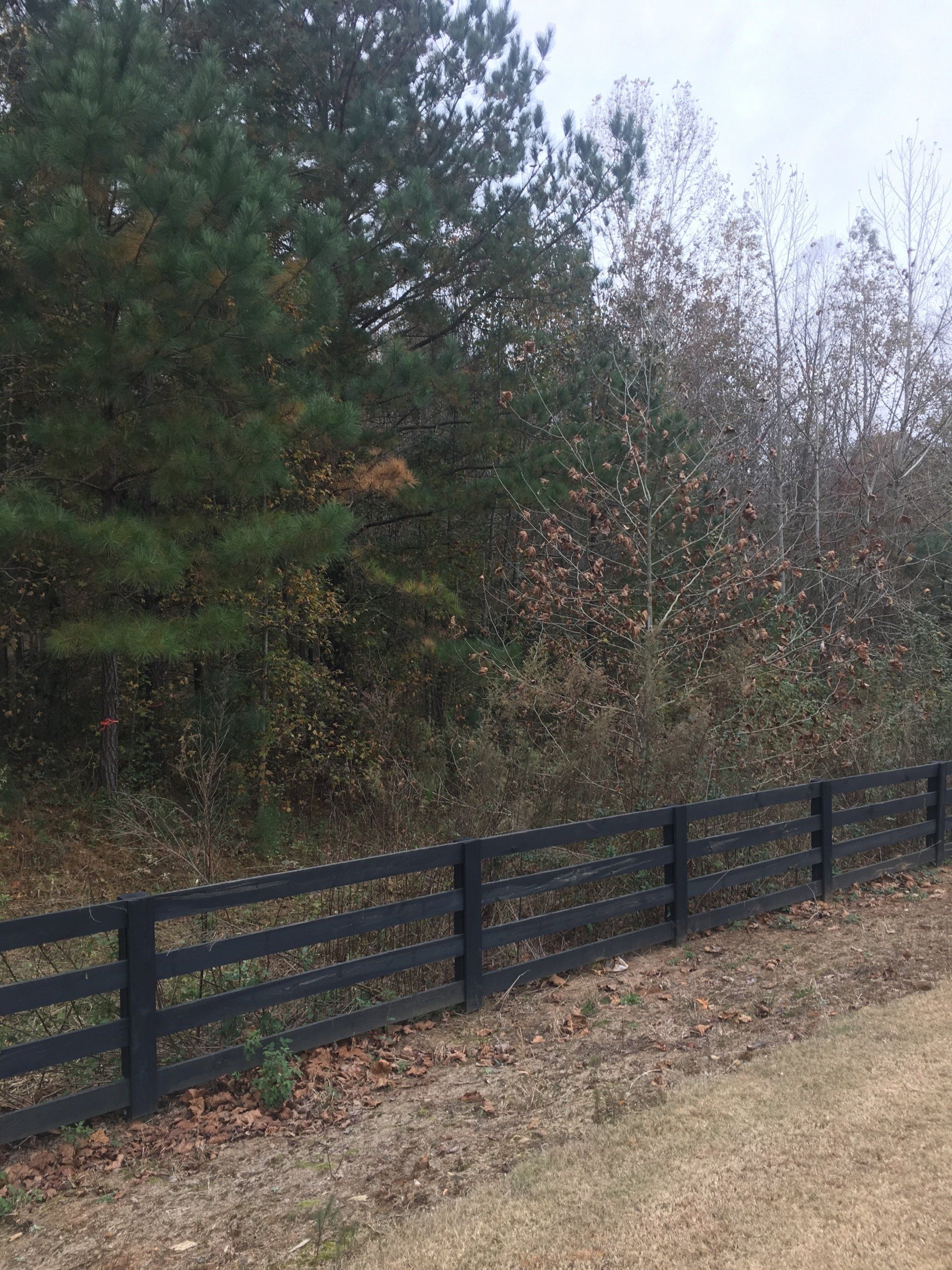 Before Forestry Mulching Forsyth, GA