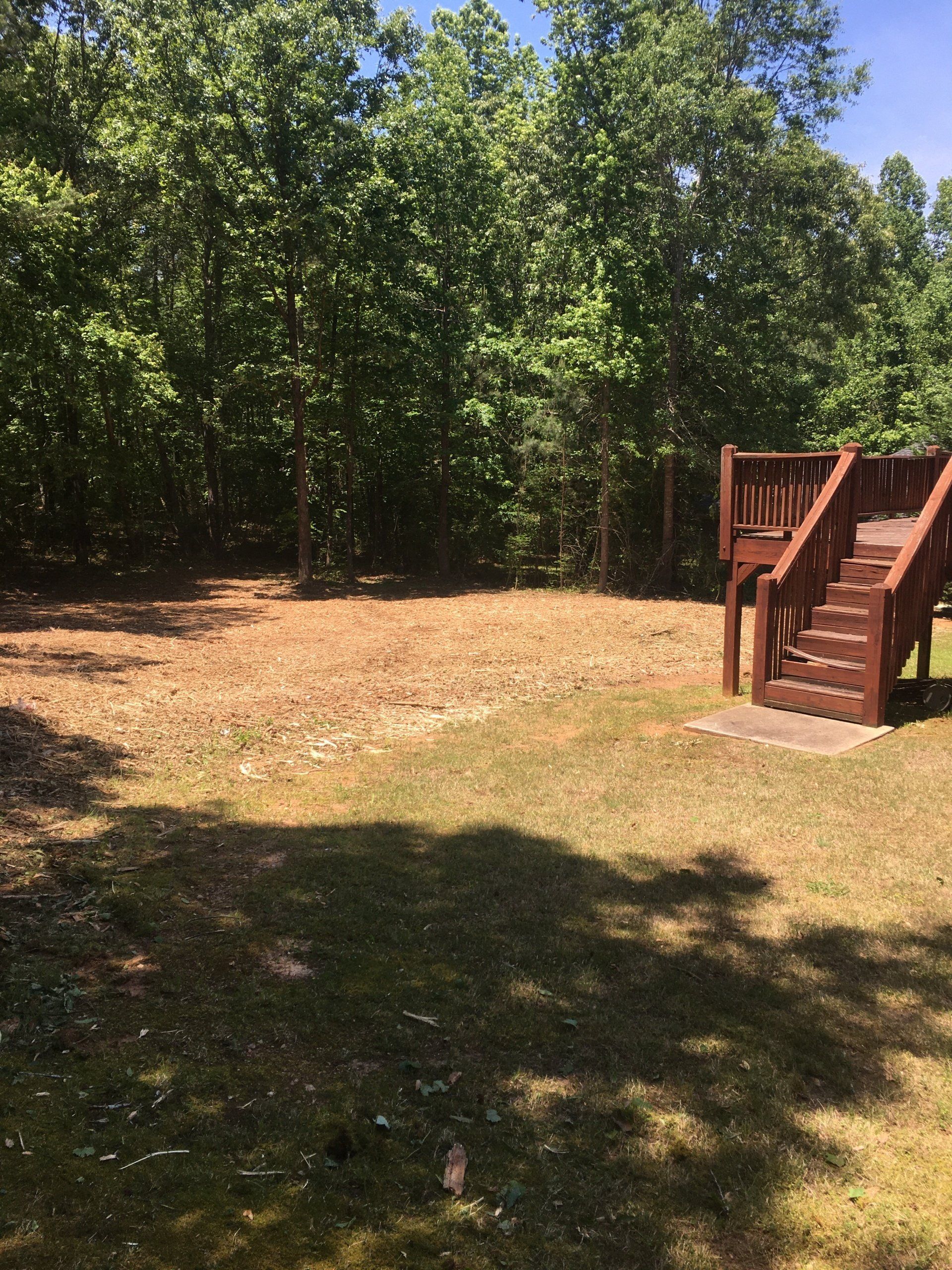 After Forestry Mulching Macon, GA