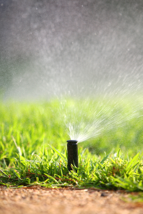 A close up of a sprinkler spraying water on a lush green lawn.