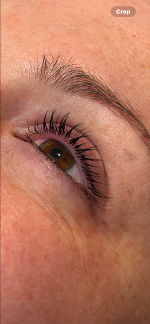 Close-up of a brown eye with long curled eyelashes and soft pink eyeshadow on warm-toned skin