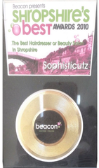 Beacon presents Shropshire’s Best Awards 2010 poster with gold award medallion and pink cityscape theme