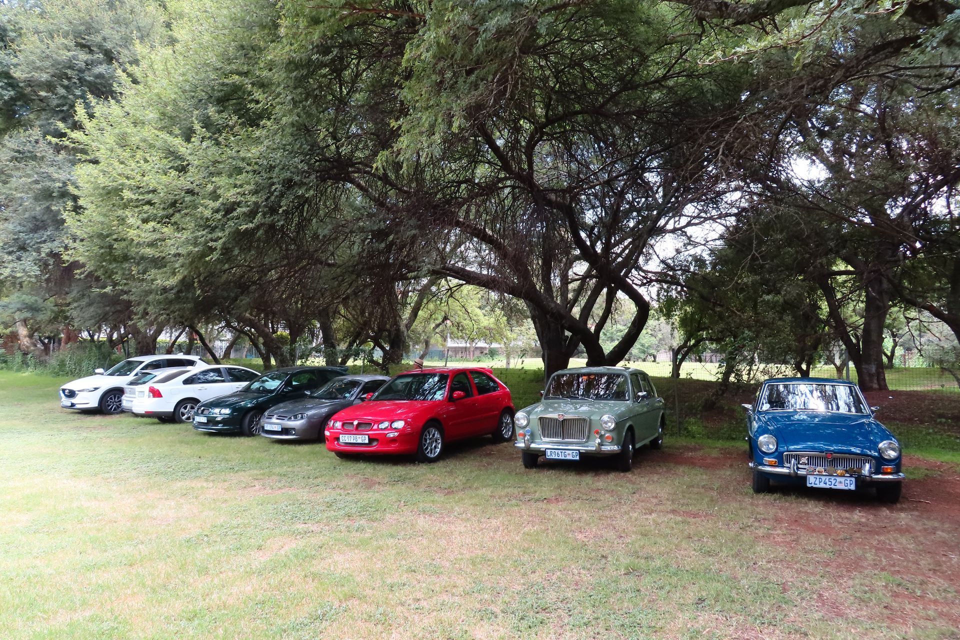 Cars parked on grass beneath trees. A variety of models and colors are present.