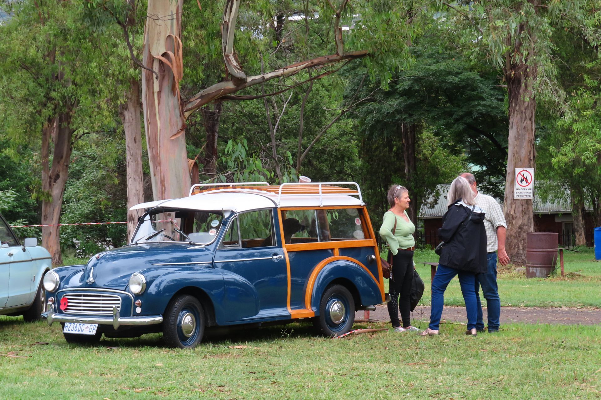 Blue vintage station wagon with wood trim, parked on grass. People stand nearby.