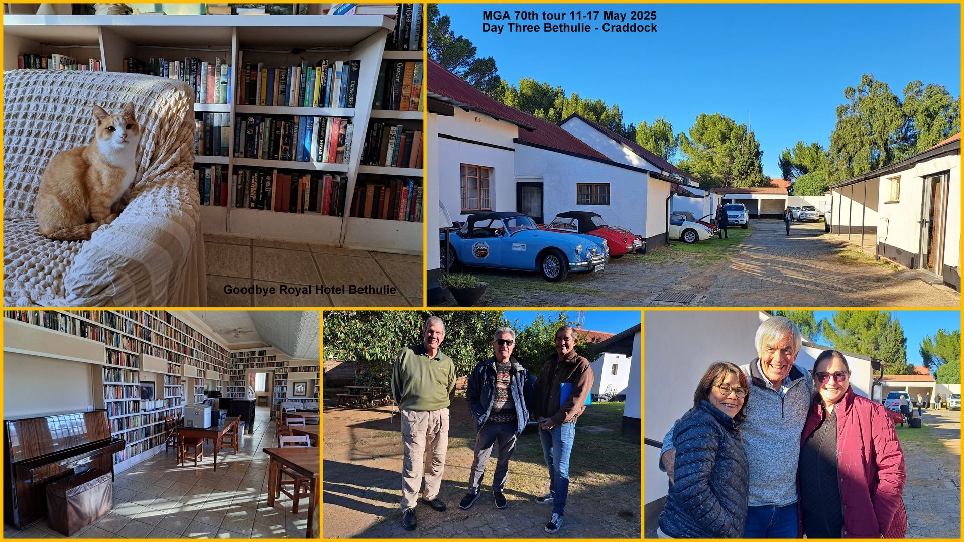 Collage: cat on couch, building with cars, people outdoors and inside, and rows of books.