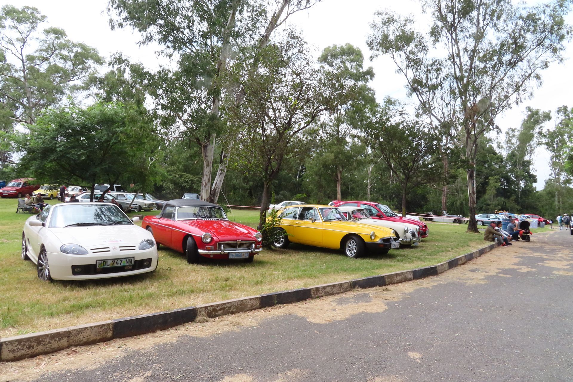Classic cars parked on grass near trees, asphalt foreground.