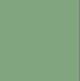 Ash Green