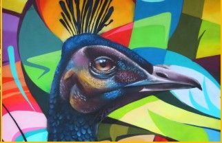 Colorful peacock head with vibrant abstract background.