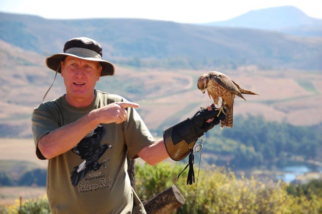 Falconer At Work - The Nest
