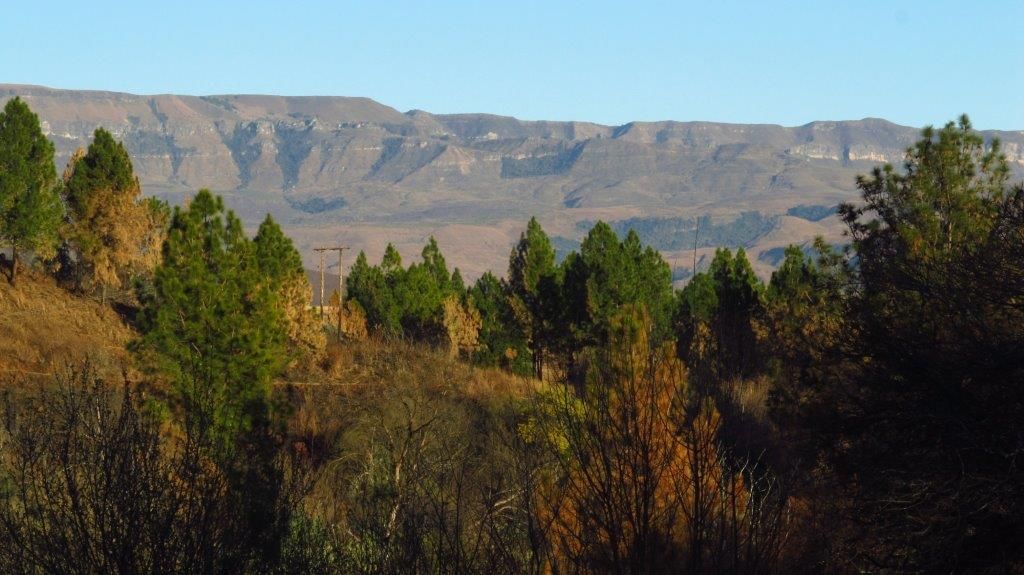 Club Outing the Nest