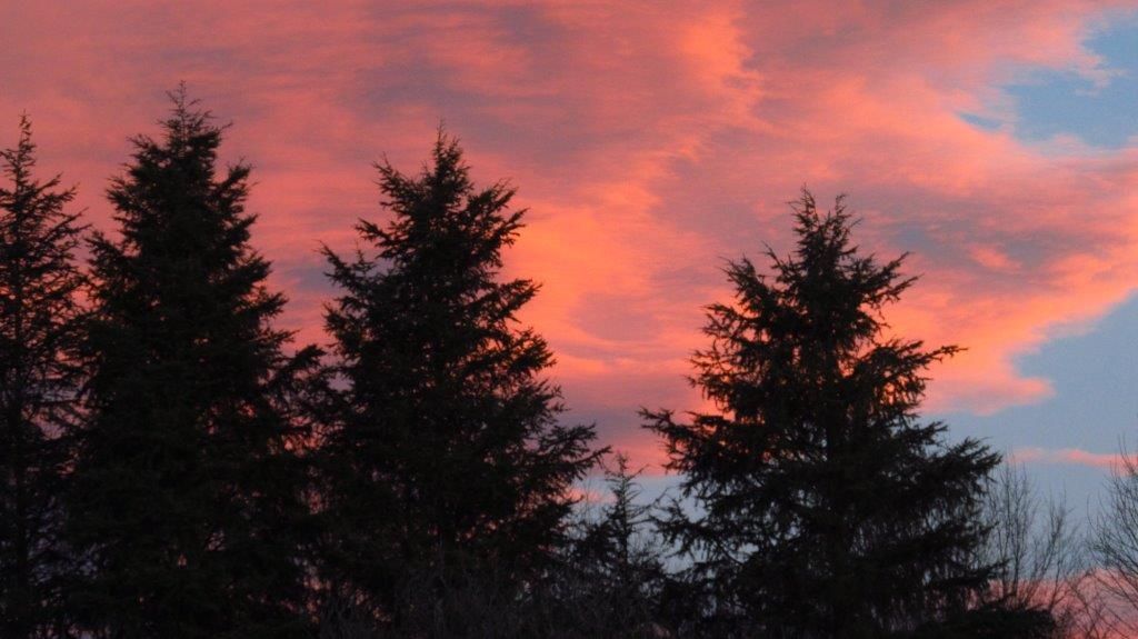 Club Outing the Nest