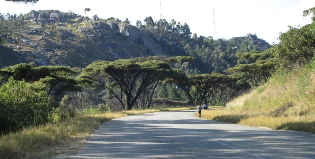 Zimbabwe Run