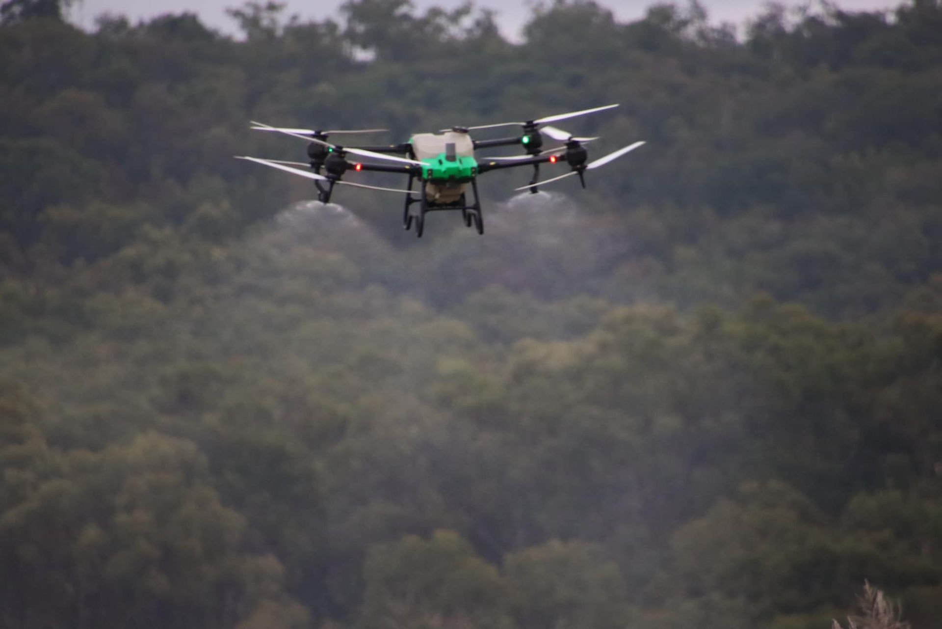 Drone Spraying a Field, Green and Black, with A Forest Backdrop — Jetstream Aerial Services in Te Kowai, QLD