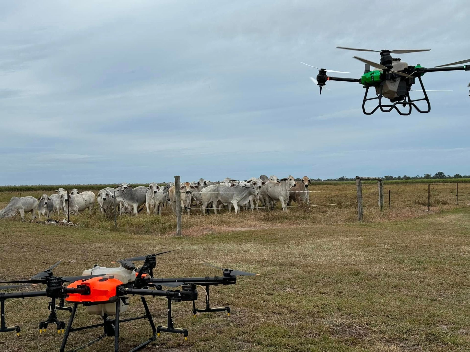 Two Drones Spraying— Jetstream Aerial Services in Te Kowai, QLD