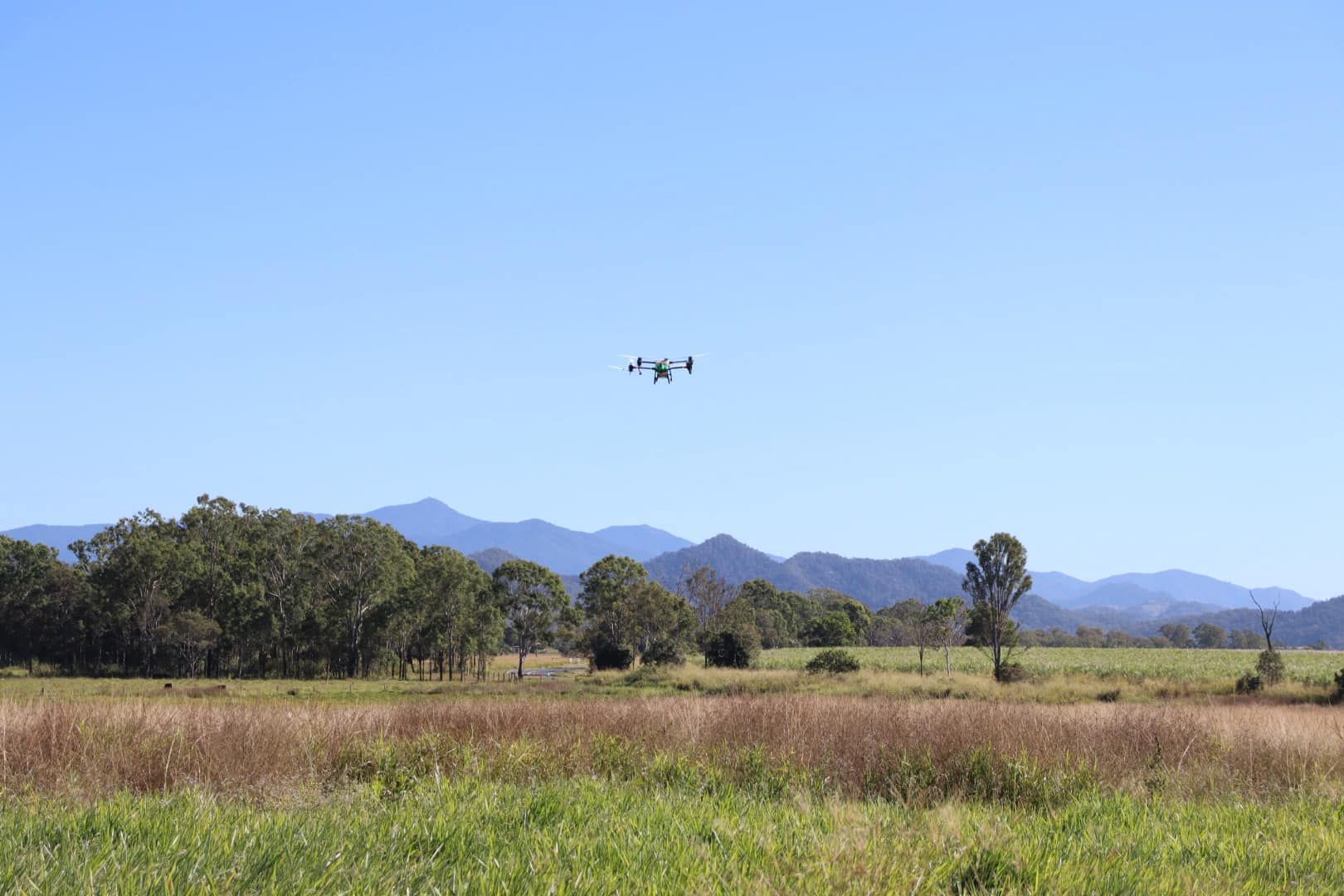 Drone Flying Over a Field with Trees, Mountains, and A Blue Sky — Jetstream Aerial Services in Te Kowai, QLD