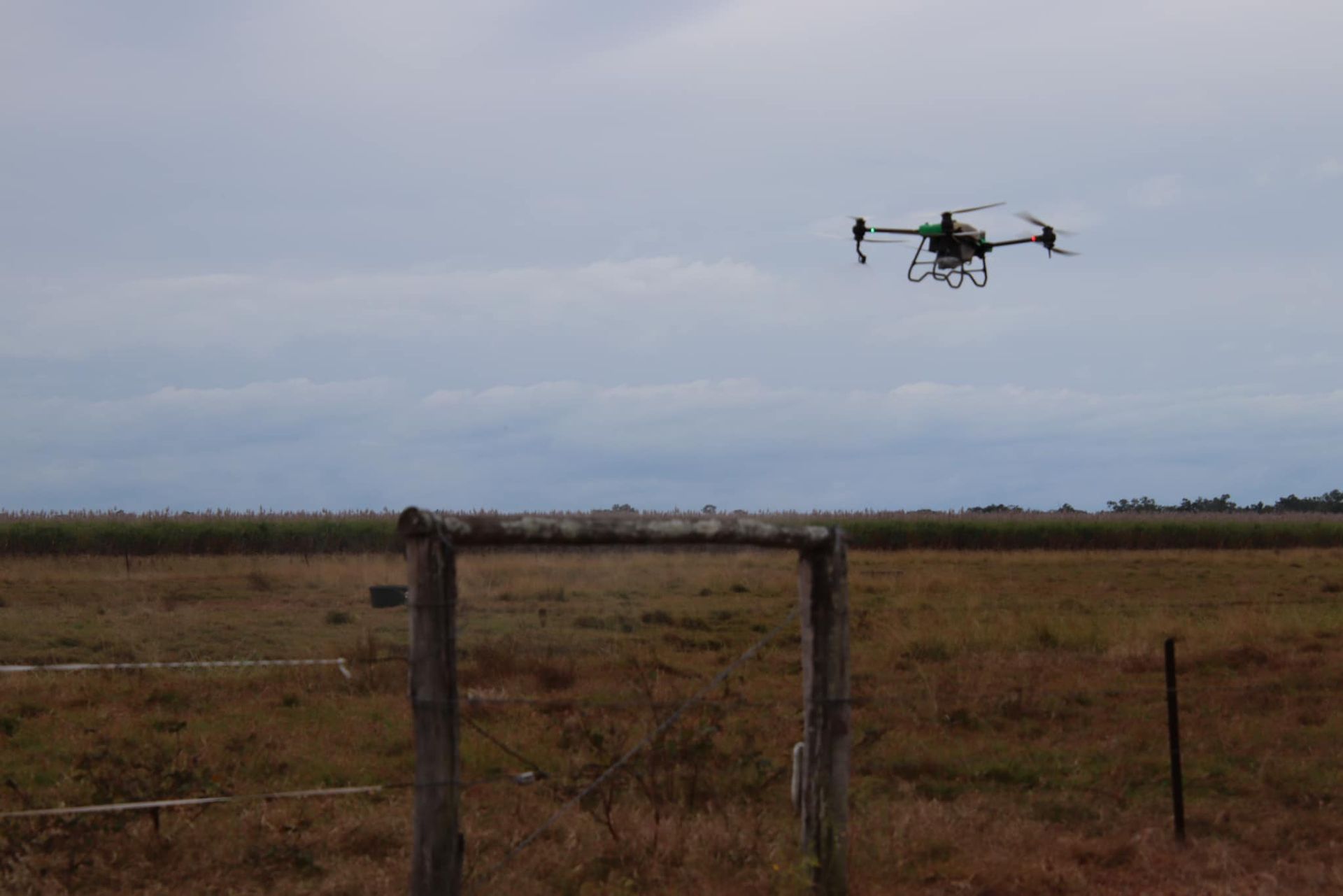 Drone Flying Over a Field with A Wooden Gate — Jetstream Aerial Services in Te Kowai, QLD