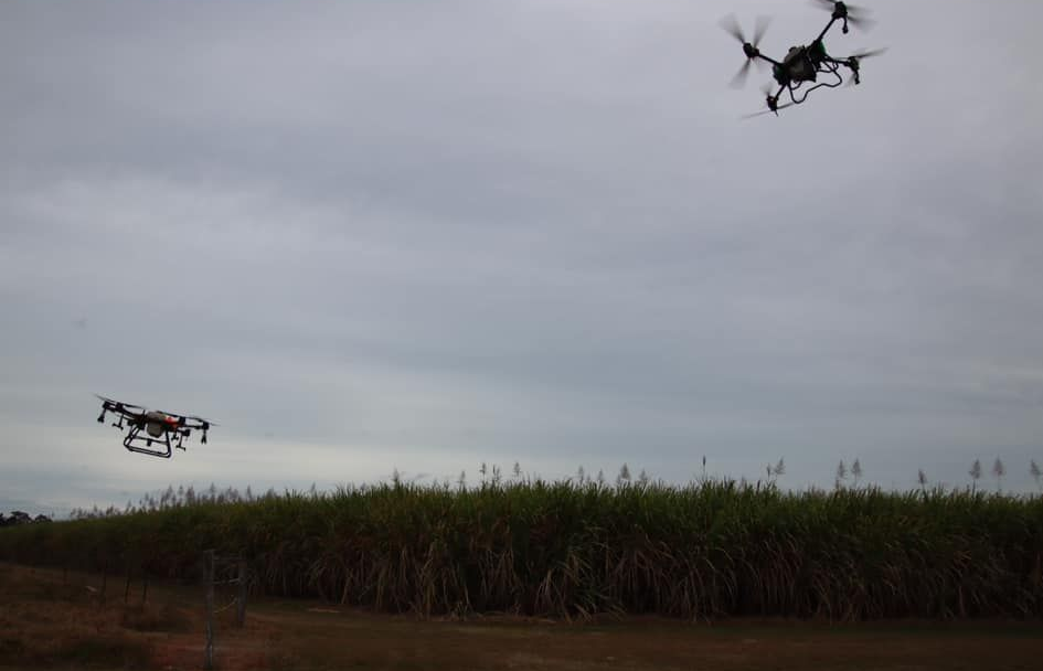Two Drones Flying Over a Field of Tall Green Plants Under a Cloudy Sky — Jetstream Aerial Services in Te Kowai, QLD