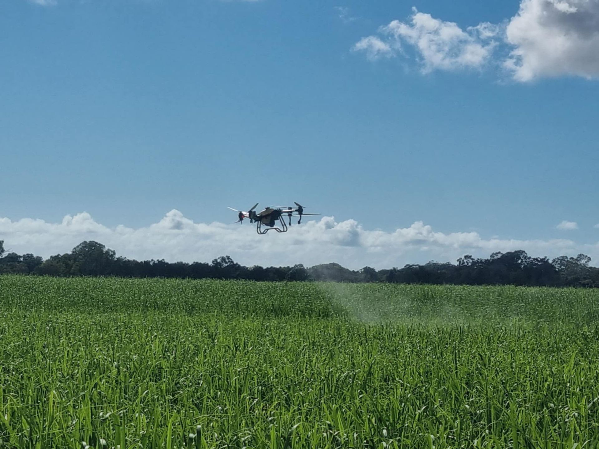 Drone Spraying a Green Field Under a Blue Sky with Some Clouds — Jetstream Aerial Services in Te Kowai, QLD