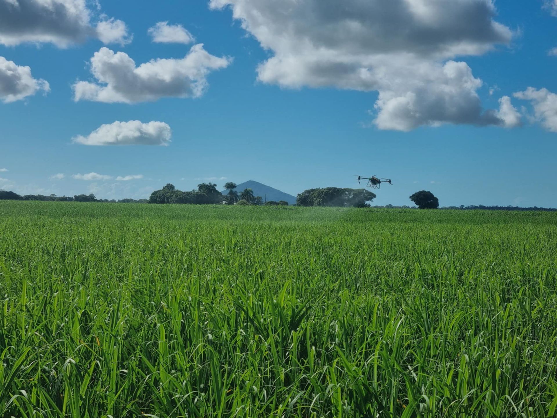 Drone Spraying a Lush Green Field Under a Blue Sky with Fluffy White Clouds — Jetstream Aerial Services in Te Kowai, QLD