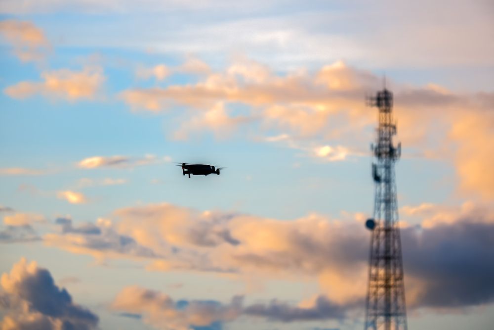 Drones Flying Over a Herd of White Cattle in A Field — Jetstream Aerial Services in Te Kowai, QLD