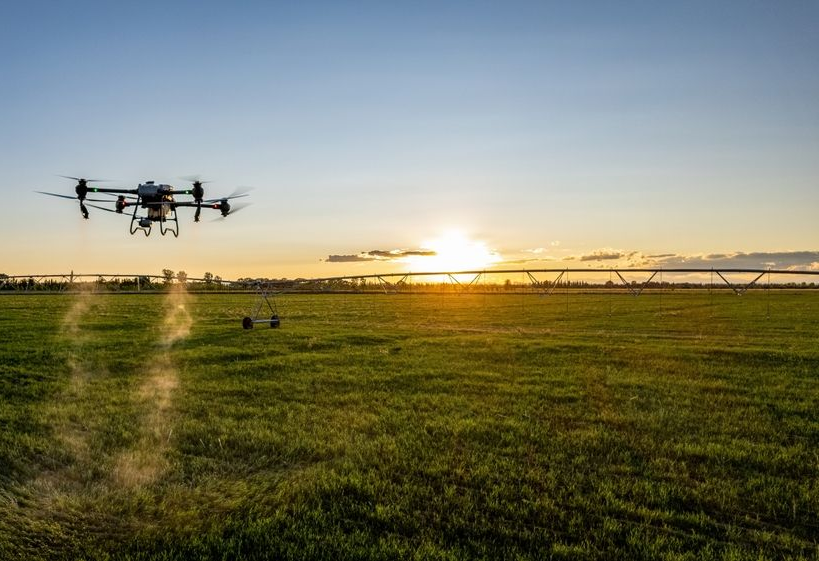 Drone Spraying Crops Over a Green Field with The Sun Setting in The Background — Jetstream Aerial Services in Te Kowai, QLD