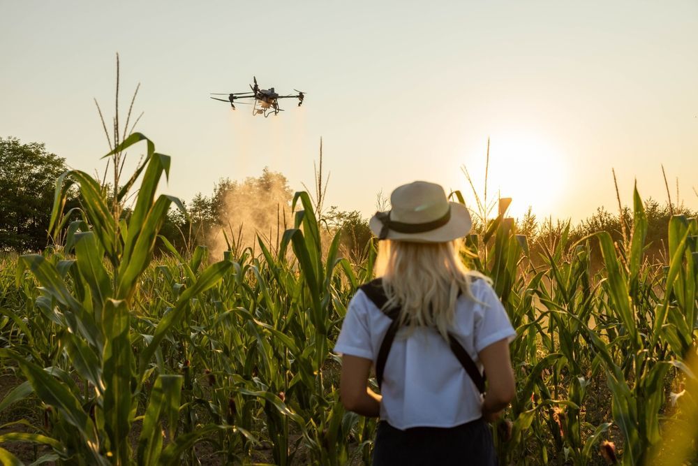 Woman in A Hat Watches a Drone Spray Crops in A Field at Sunset — Jetstream Aerial Services in Te Kowai, QLD